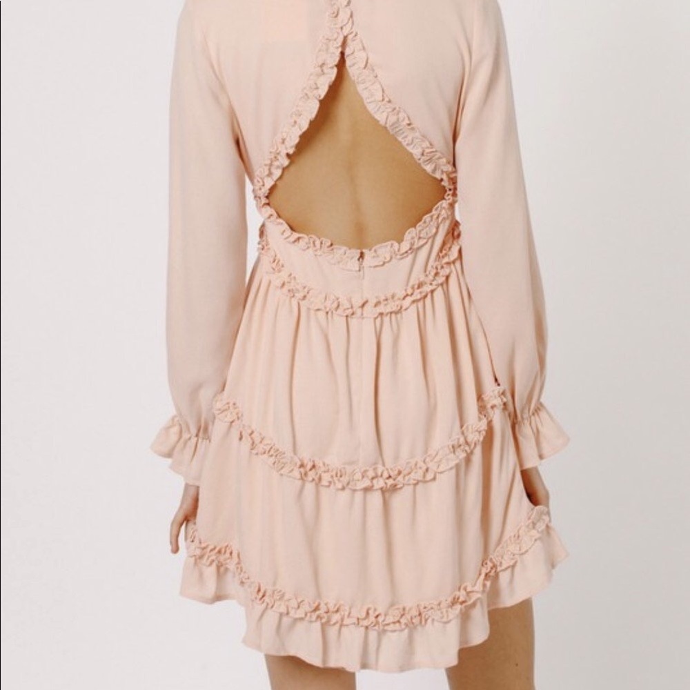 Blush Punk Ruffle Dress - Picture 5 of 6